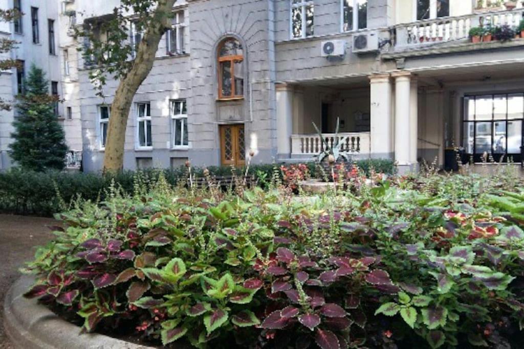 Gorgeous Flat Right Near The City Center Budapest Esterno foto