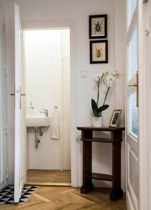 Gorgeous Flat Right Near The City Center Budapest Esterno foto